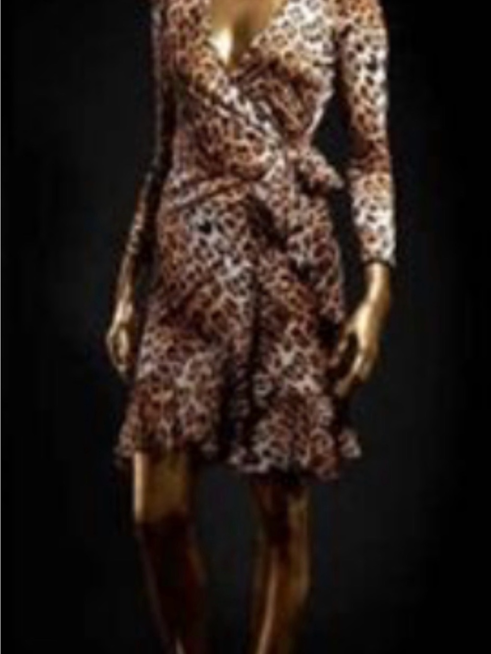 Roberto Cavalli Leopard Print  Wrap Dress